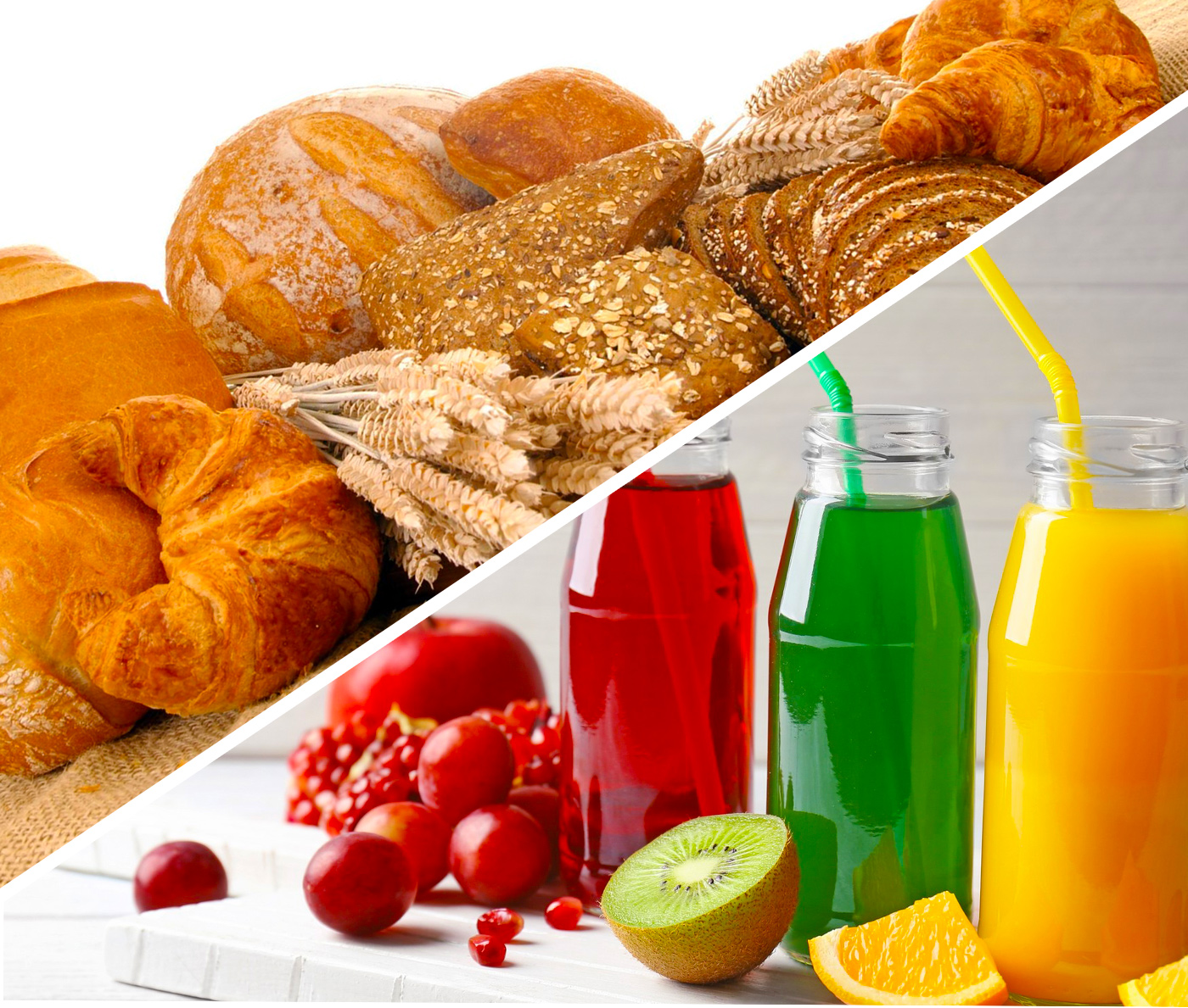 food-processing-industries-allagro-saudi-arabia